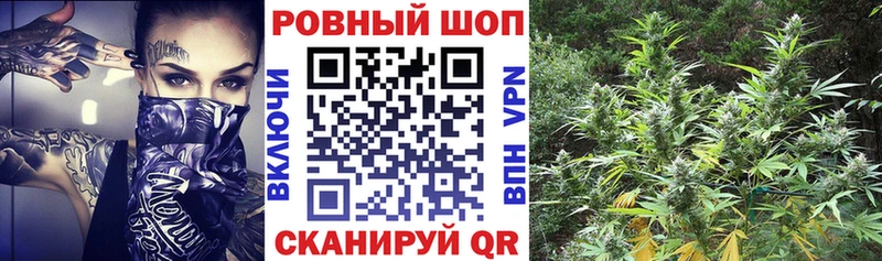 Лсд 25 Навашино