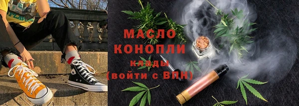 амф Верхний Тагил