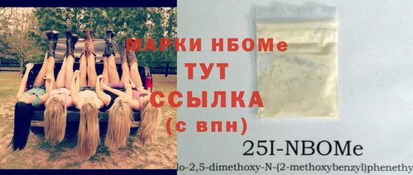 амф Верхний Тагил