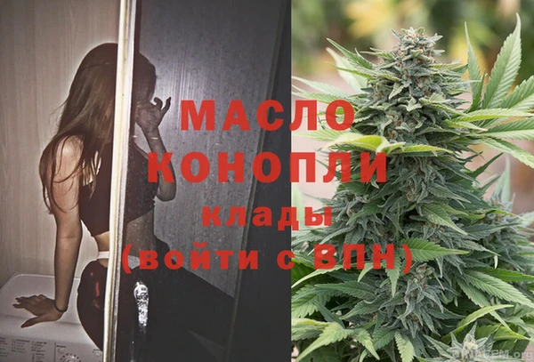 амф Верхний Тагил