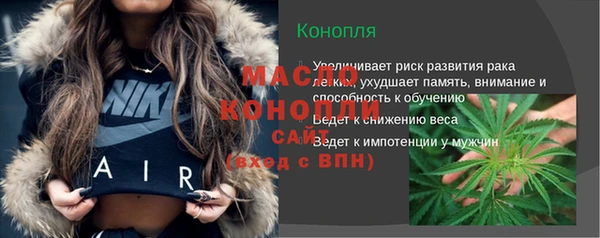 амф Верхний Тагил