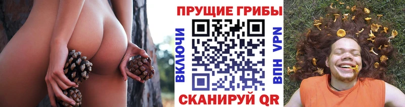 гидра как зайти  Навашино  Галлюциногенные грибы прущие грибы 